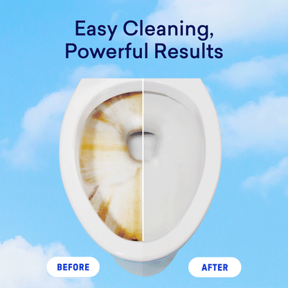 Laundry Detergent & Toilet Bowl Cleaner Kit - US 5297