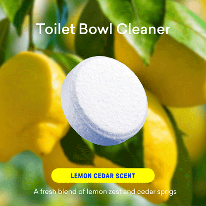 Laundry Detergent & Toilet Bowl Cleaner Kit - US 5297