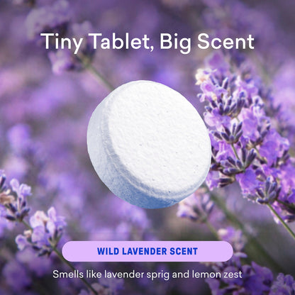 Toilet Bowl Cleaner Tablet Refills - US 9251